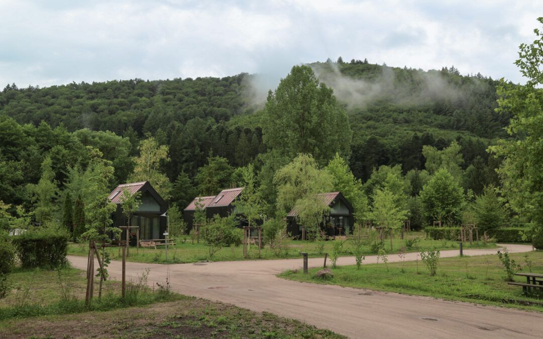 Abords de l&rsquo;étang du Fleckenstein à Lembach