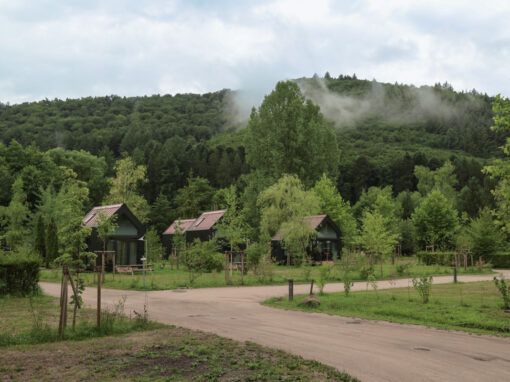 Abords de l&rsquo;étang du Fleckenstein à Lembach